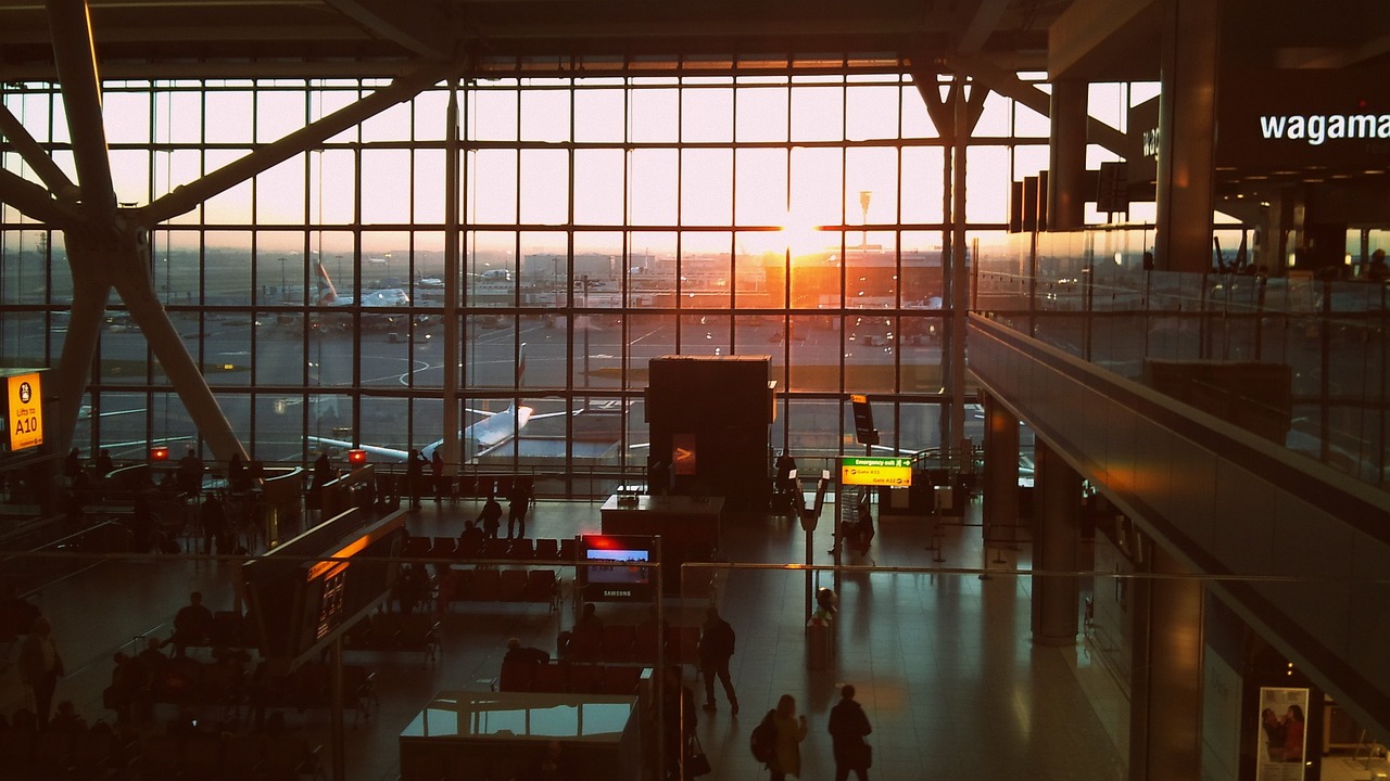 Tips for Navigating Airports with Pets